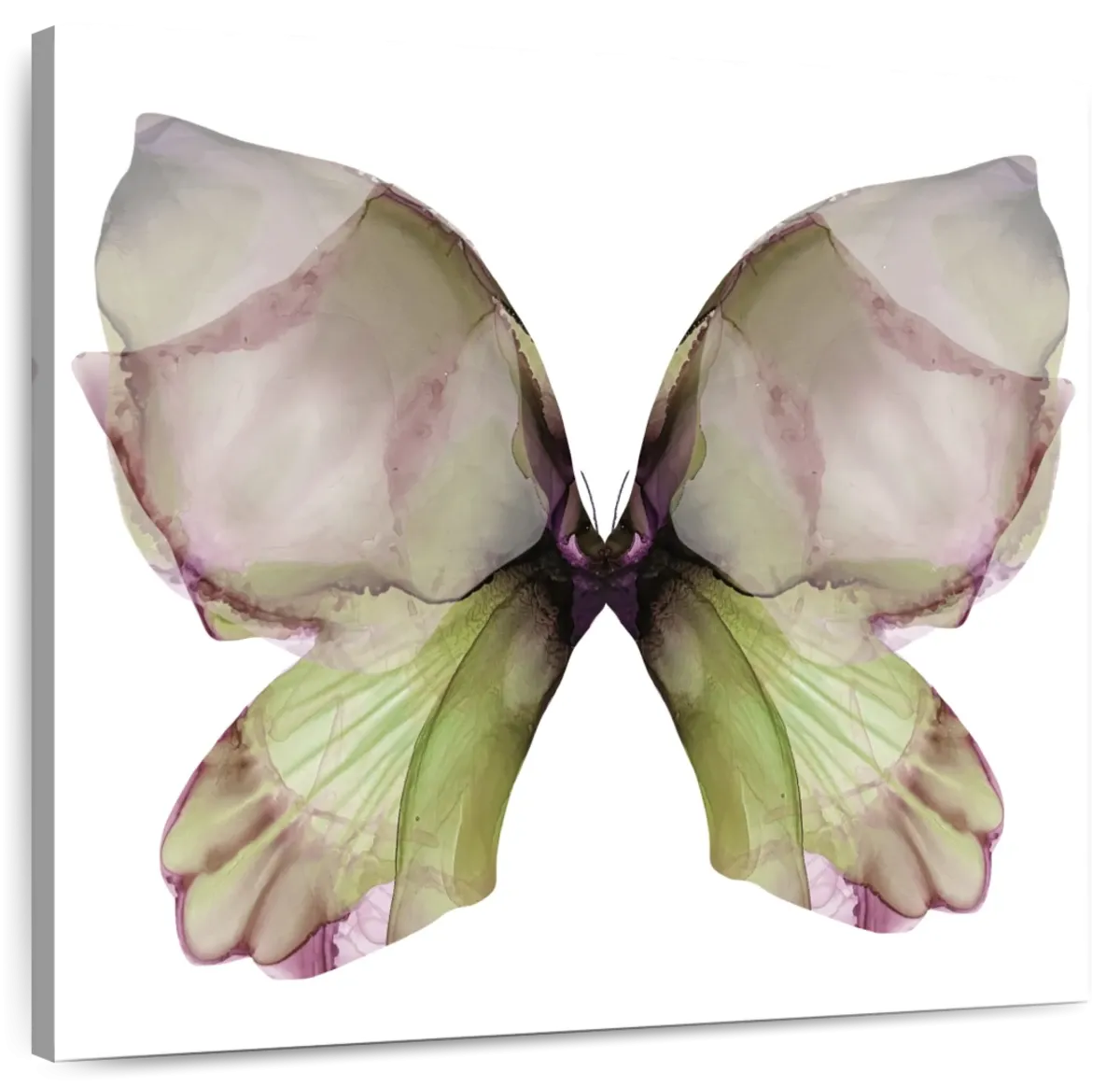 A Floral Butterfly I Wall Art