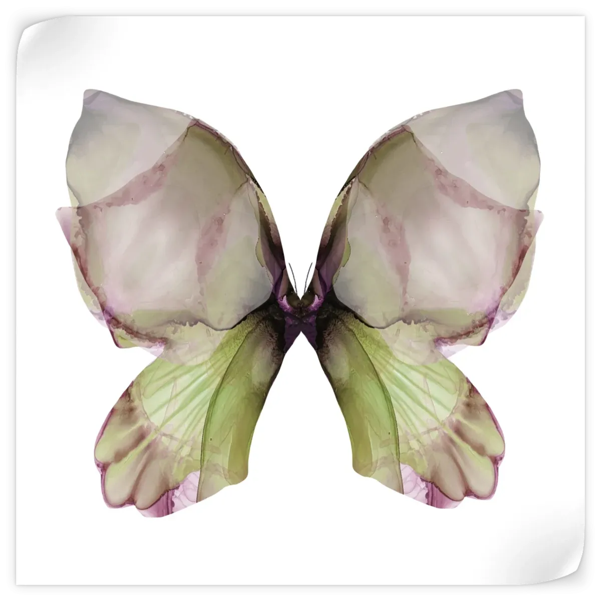 A Floral Butterfly I Wall Art