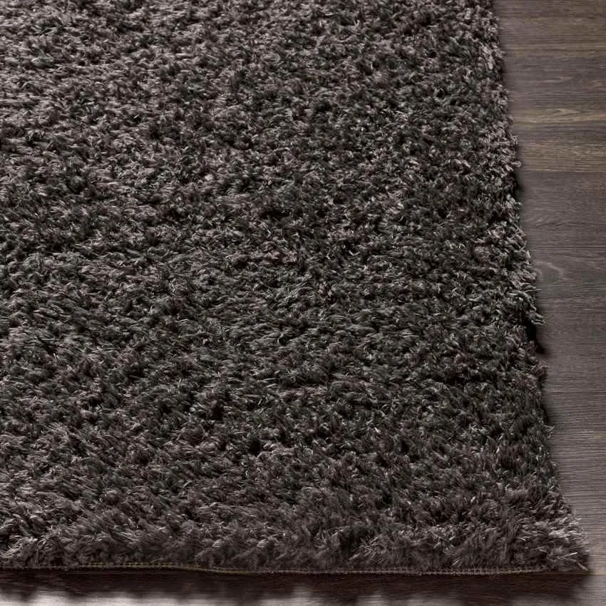 Abraham 2x4 Solid and Border Black Area Rug Carpet for Living Room Bedroom or Kitchen (2'3" x 3'9")