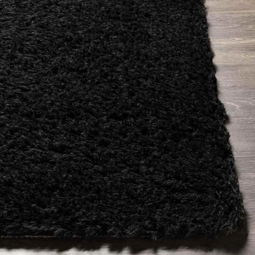 Abraham 2x4 Solid and Border Black Area Rug Carpet for Living Room Bedroom or Kitchen (2'3" x 3'9")