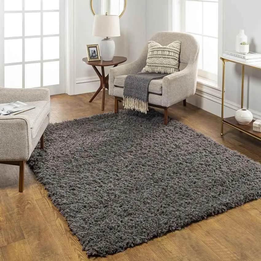 Abraham 2x4 Solid and Border Black Area Rug Carpet for Living Room Bedroom or Kitchen (2'3" x 3'9")