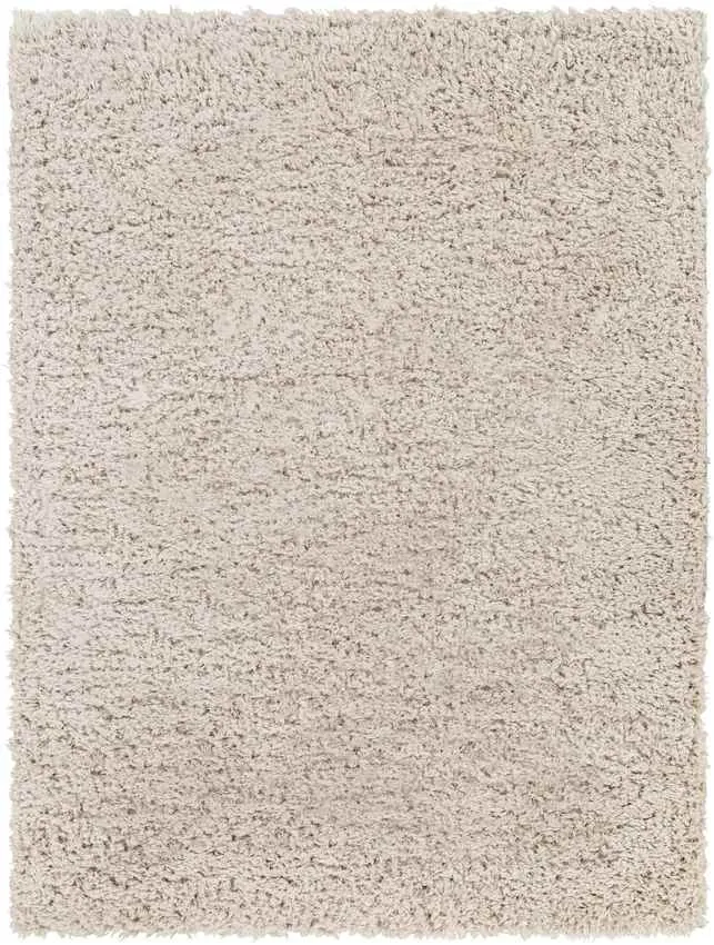 Abraham 2x4 Solid and Border Black Area Rug Carpet for Living Room Bedroom or Kitchen (2'3" x 3'9")