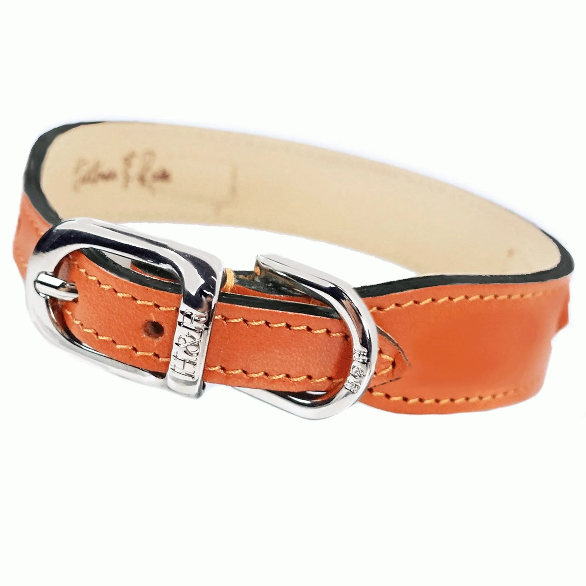 After Eight Dog Collar in Tangerine