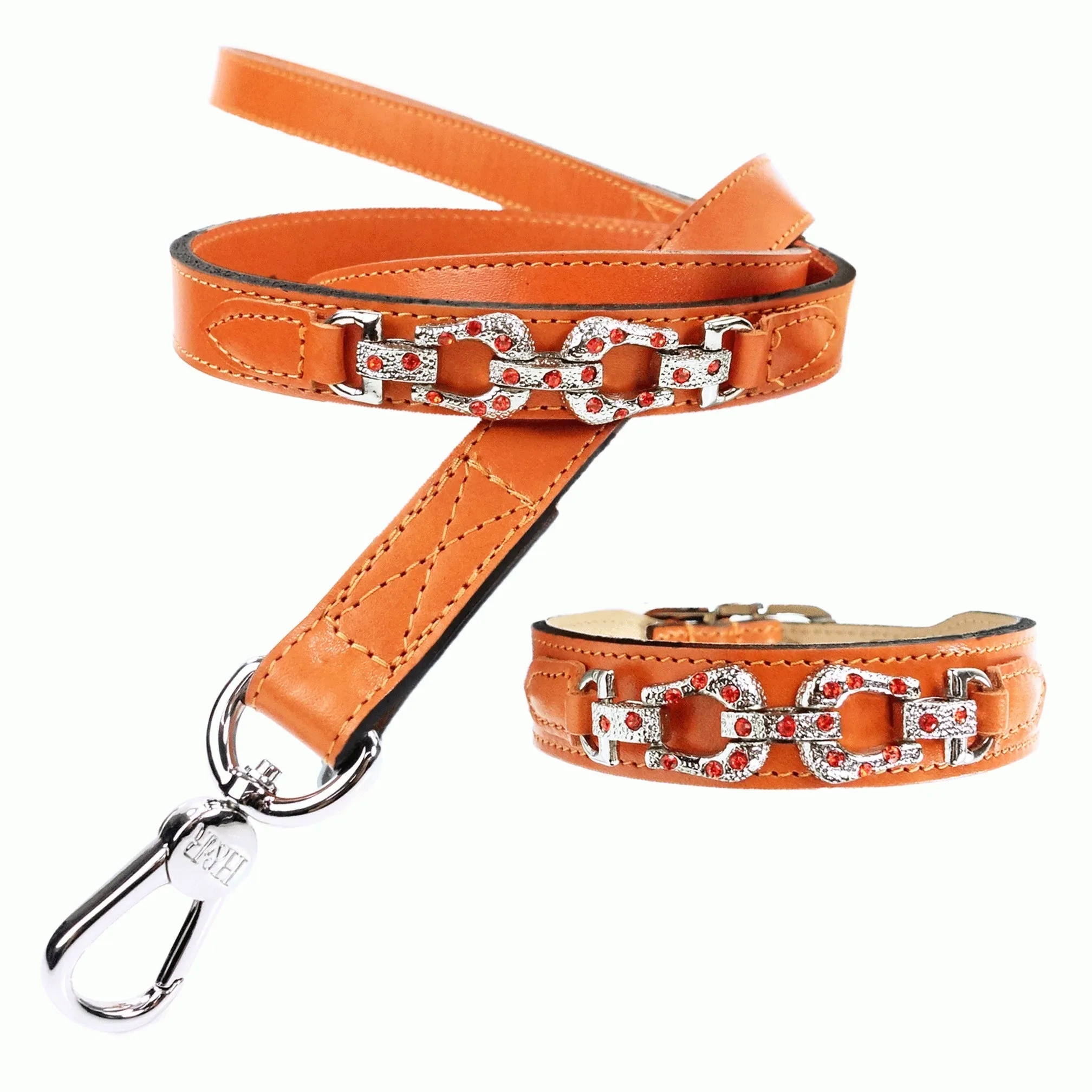 After Eight Dog Collar in Tangerine