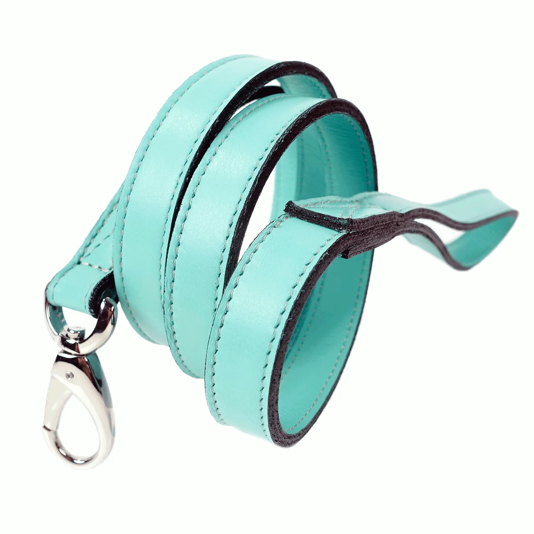 Art Deco Dog Leash in Turquoise & Nickel