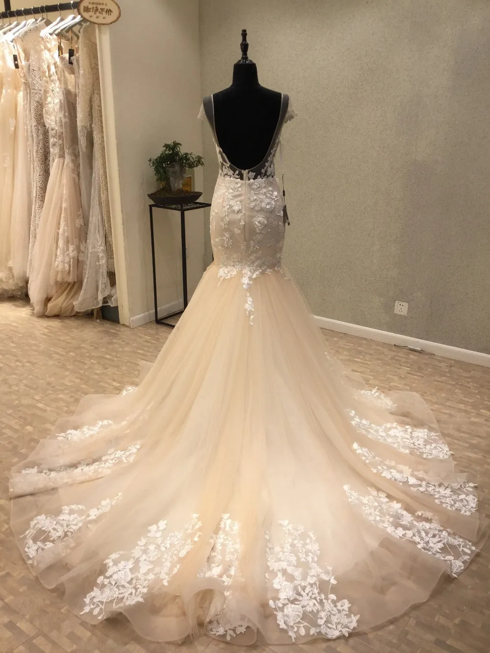 Cap Sleeves Mermaid Backless Sexy See Through Bridal Long Wedding Dresses, WG1242