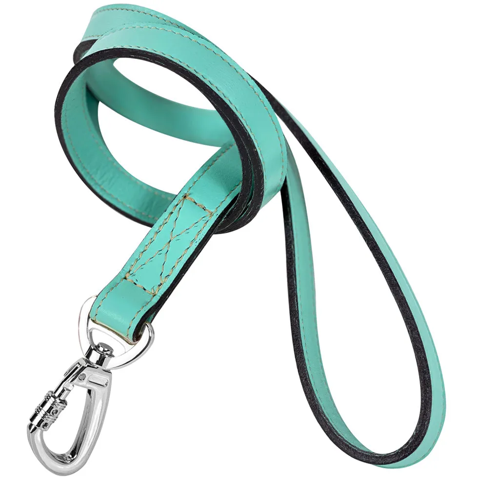 Daisy Dog Leash in Turquoise & Nickel