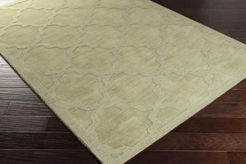 Ermont Solid and Border Area Rug Carpet for Living Room Bedroom or Kitchen