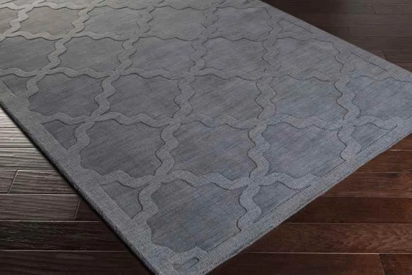 Ermont Solid and Border Area Rug Carpet for Living Room Bedroom or Kitchen