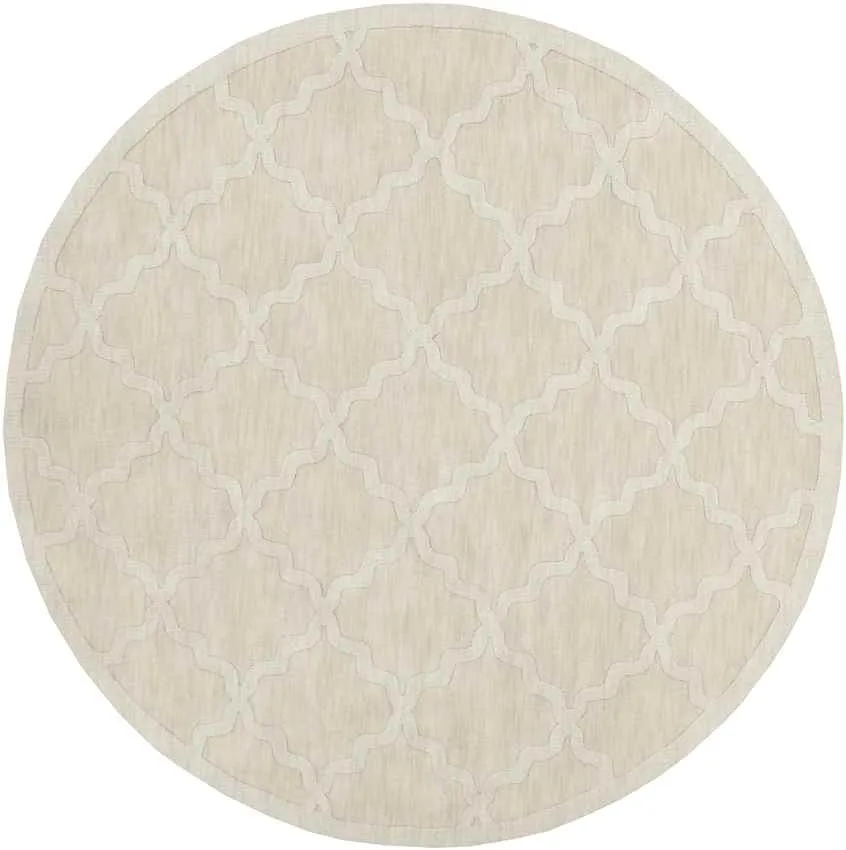 Ermont Solid and Border Area Rug Carpet for Living Room Bedroom or Kitchen