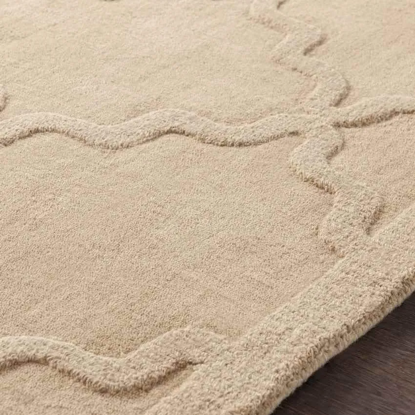 Ermont Solid and Border Area Rug Carpet for Living Room Bedroom or Kitchen