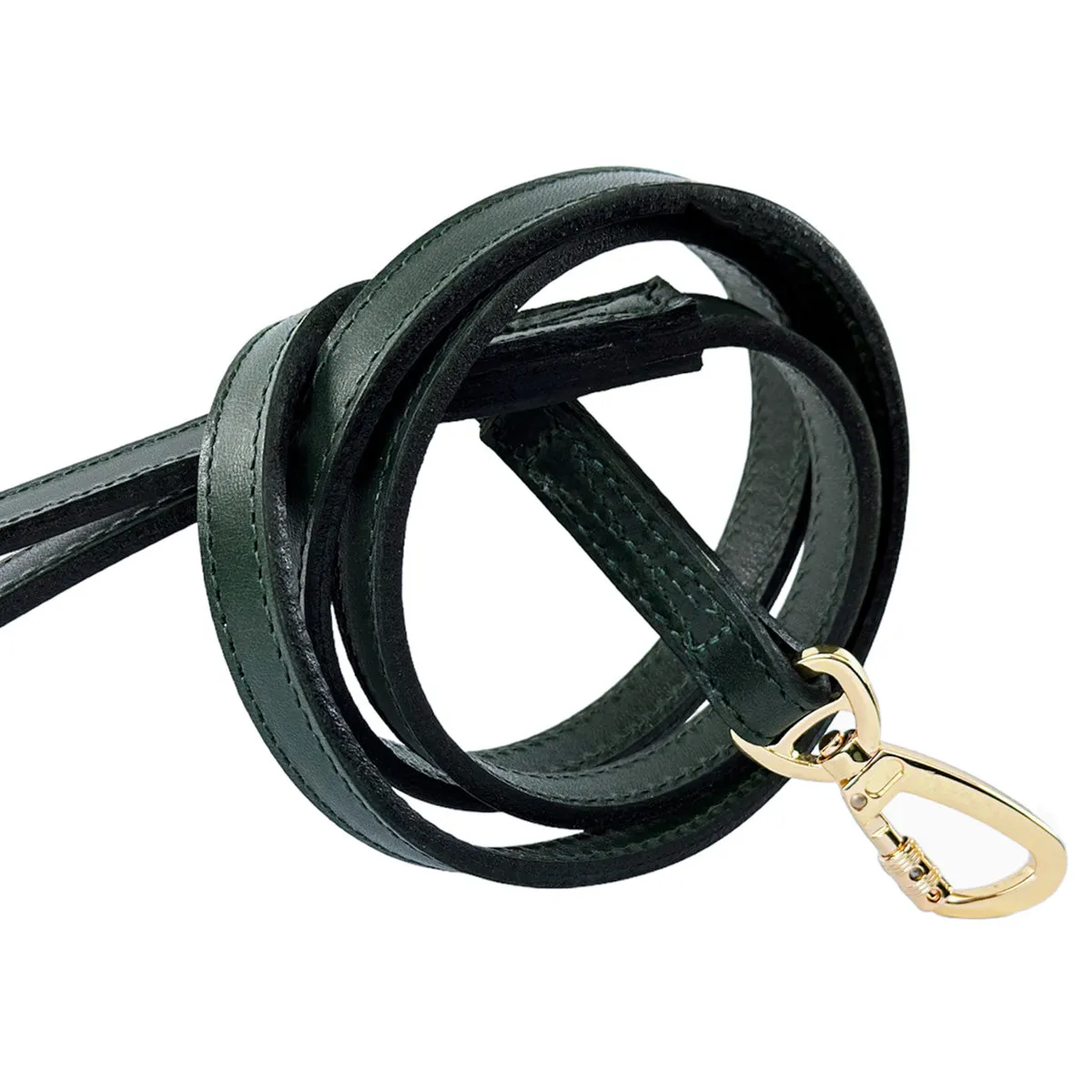 Hamilton Dog Leash in Ivy Green & Gold