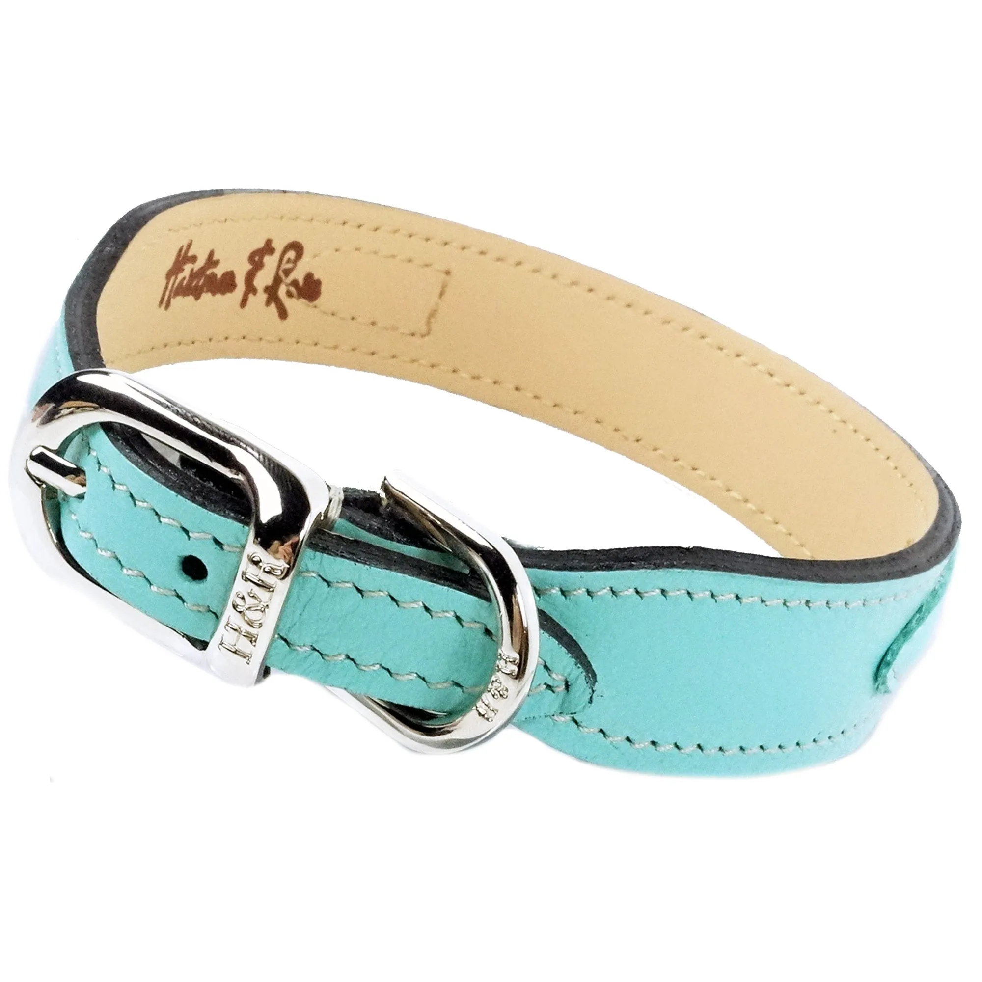 Hugs & Kisses Dog Collar in Turquoise & Nickel