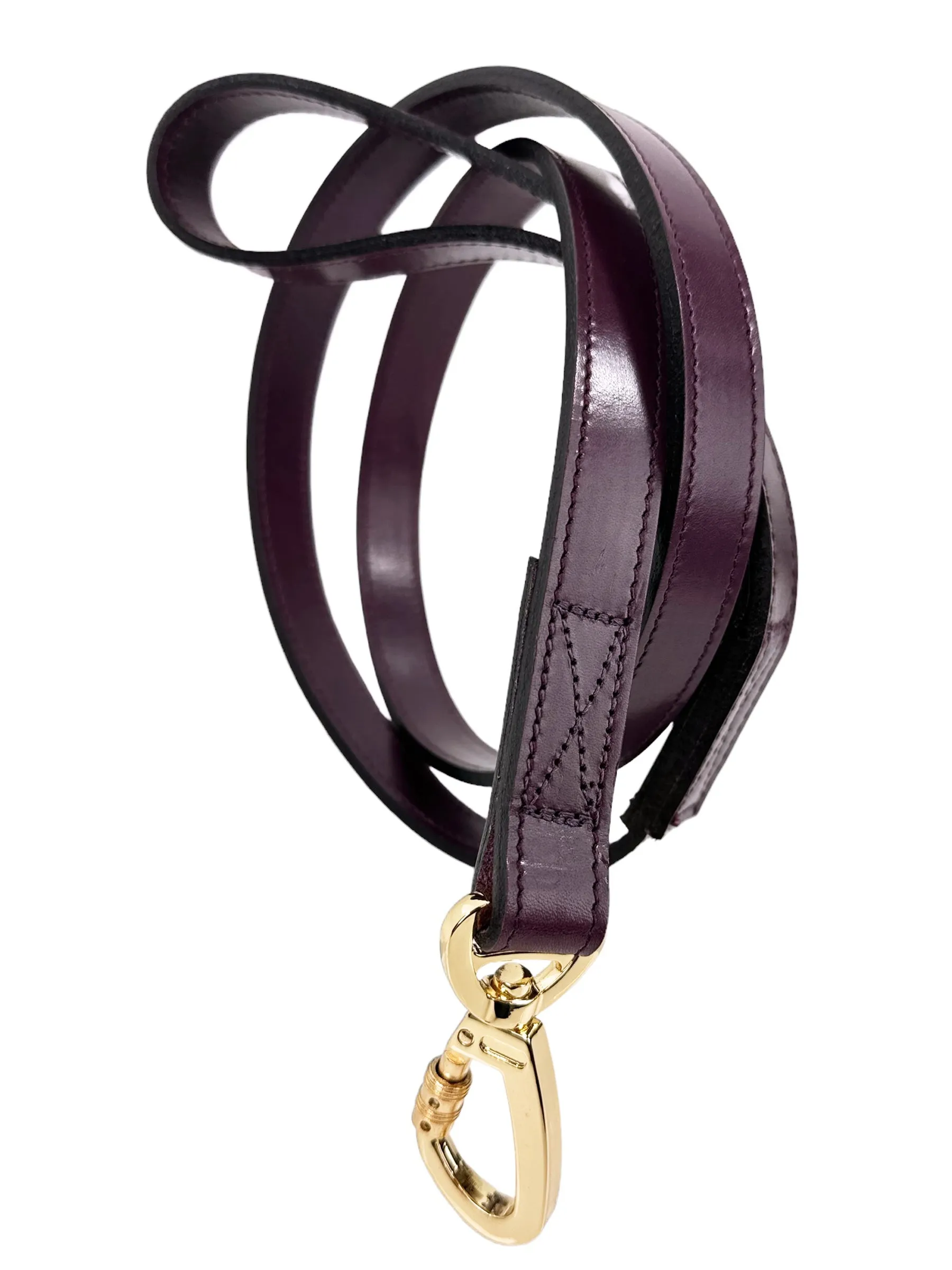 Regency Dog Leash in Burgundy & Gold