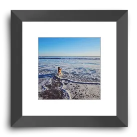 Tail of the Sea Glossy Print