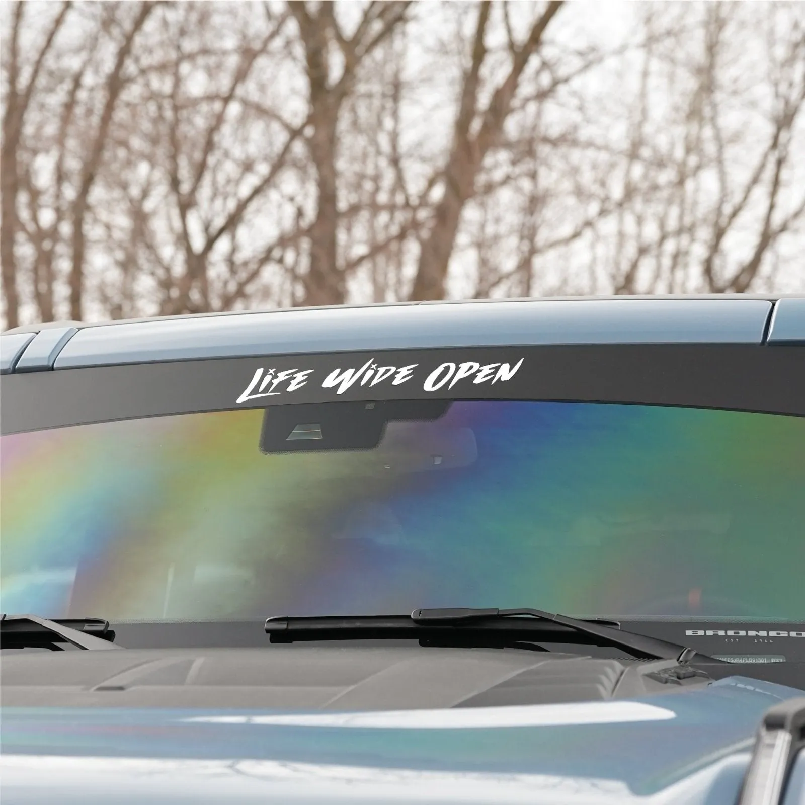 Windshield Banner - Life Wide Open Sketched